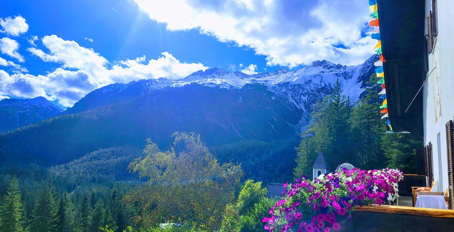 Haus & Umgebung im Sommer